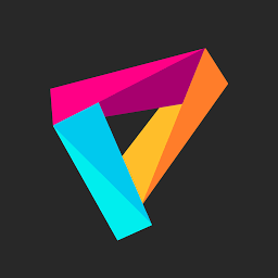 Perfect Privacy logo